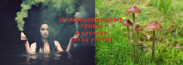 прущие крисы Абдулино