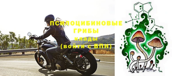 гашик Пролетарск