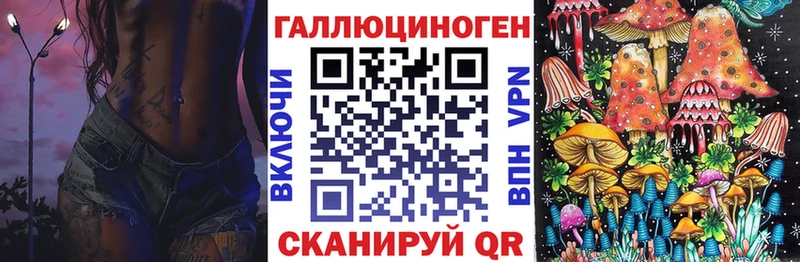 Галлюциногенные грибы Cubensis  мега   Пудож 