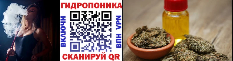 Шишки марихуана SATIVA & INDICA  мега сайт  Пудож  купить наркотик 